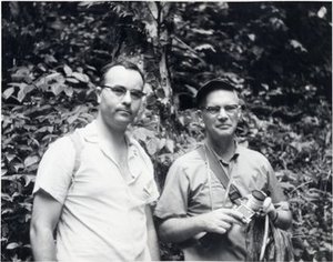 Stern, William Louis