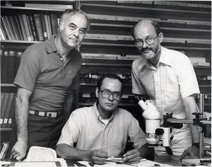 Stern, William Louis