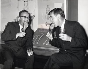 Stern, William Louis