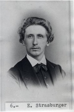 Strasburger, Eduard Adolf