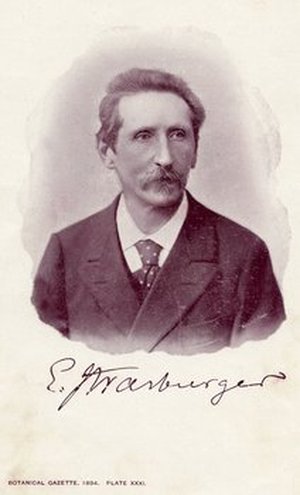 Strasburger, Eduard Adolf