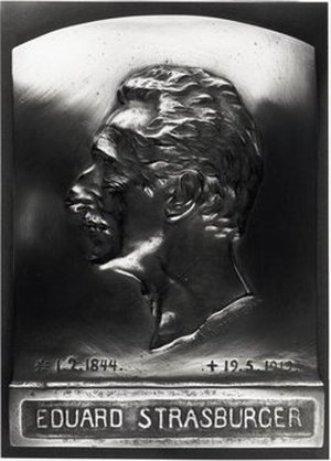 Strasburger, Eduard Adolf