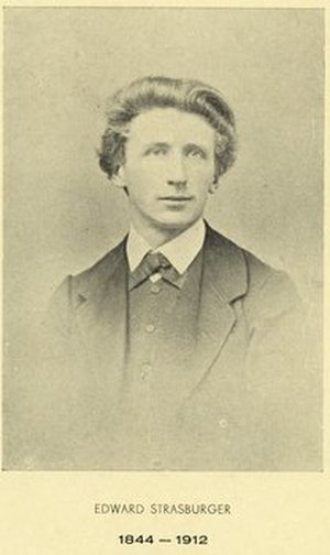 Strasburger, Eduard Adolf