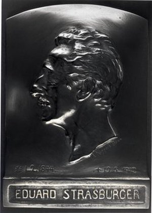 Strasburger, Eduard Adolf