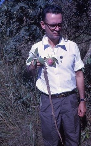 Teixeira, Alcides Ribeiro