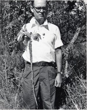 Teixeira, Alcides Ribeiro