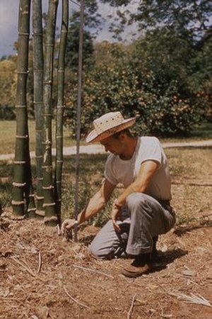 Thomas, Joab Langston
