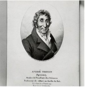 Thouin, André