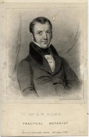 Tilke, S. W.