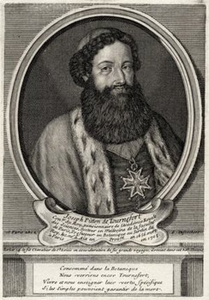 Tournefort, Joseph Pitton de