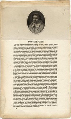 Tournefort, Joseph Pitton de