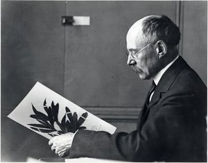 Trelease, William
