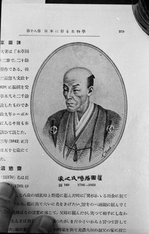 Tsunemasa, Iwasaki