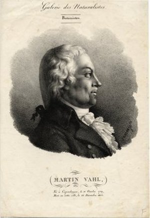 Vahl, Martin Hendriksen