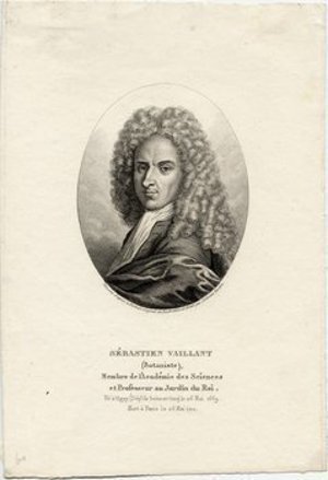 Vaillant, Sebastien