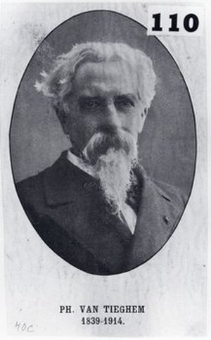Van Tieghem, Philippe Edouard Léon