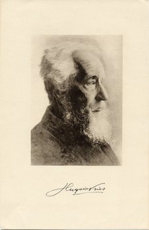 Vries, Hugo de
