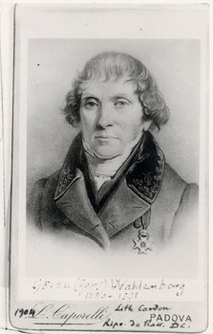 Wahlenberg, Göran