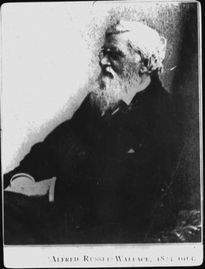Wallace, Alfred Russel