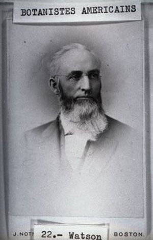 Watson, Sereno