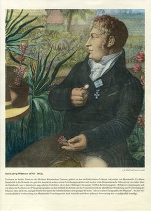 Willdenow, Carl Ludwig