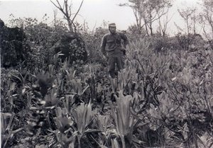 Wurdack, John Julius