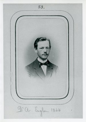 Engler, Heinrich Gustav Adolf