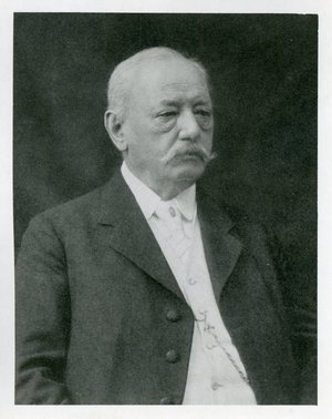 Engler, Heinrich Gustav Adolf