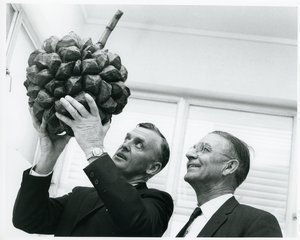 Everist, Selwyn Lawrence