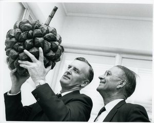 Everist, Selwyn Lawrence