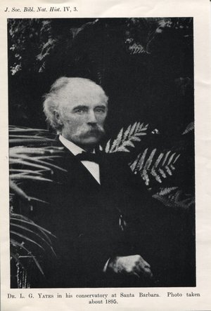 Yates, Lorenzo Gordin