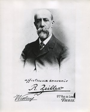 Zeiller, Charles René