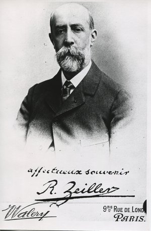 Zeiller, Charles René