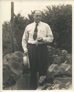 Zimmerman, Percy White