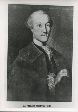 Zinn, Johann Gottfried